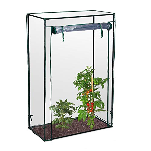 Relaxdays Tomatengewächshaus, Garten, Balkon, Foliengewächshaus Tomaten, HBT 150x100x50cm, Stahl, PVC-Folie, transparent