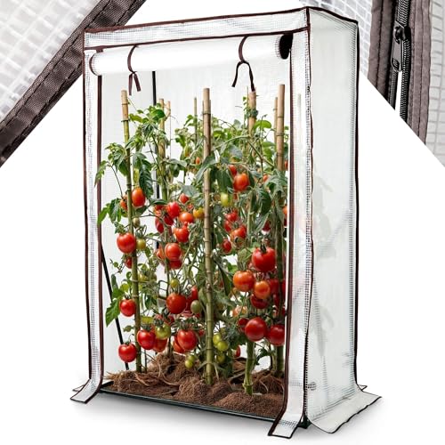Arebos Tomatengewächshaus Foliengewächshaus | Gewächshaus klein | Tomatenhaus, Treibhaus mit Tür zum Aufrollen | 100 x 50 x 150 cm Frühbeet, Gemüse, Blumen, Obst, Garten | Gewächshausfolie Arebos Tomatengewächshaus Foliengewächshaus | Gewächshaus klein | Tomatenhaus, Treibhaus mit Tür zum Aufrollen | 100 x 50 x 150 cm Frühbeet, Gemüse, Blumen, Obst, Garten | Gewächshausfolie