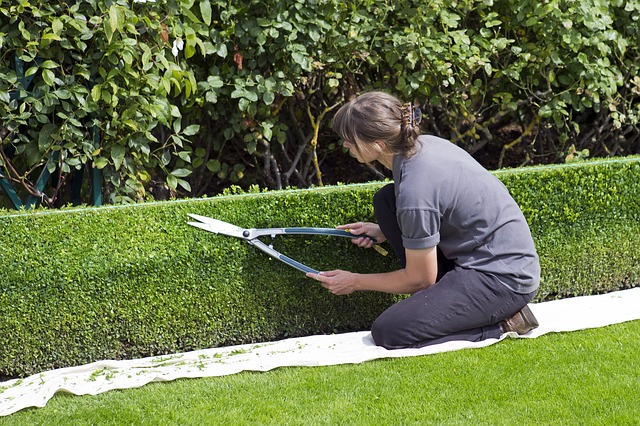 professionelle Gartenarbeit